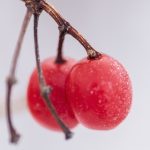 老王论坛魔性回复:让人忍俊不禁的幽默瞬间 hg3tk87n4o