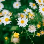 老王v2.2.22版本:全新功能解析与使用指南分享 rx1o93gyi6